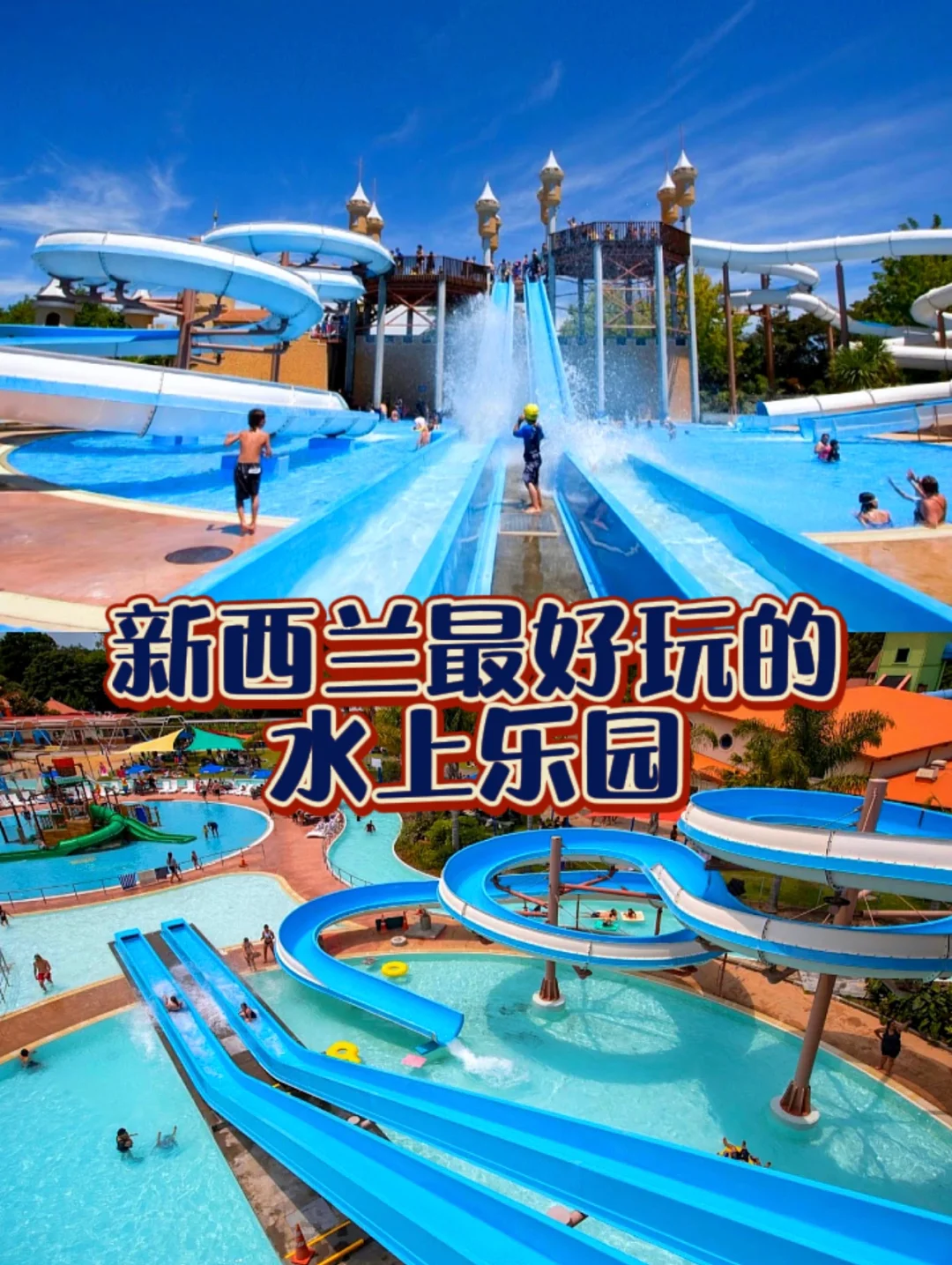 新西兰选手在游泳赛场闪耀，获得金牌头衔